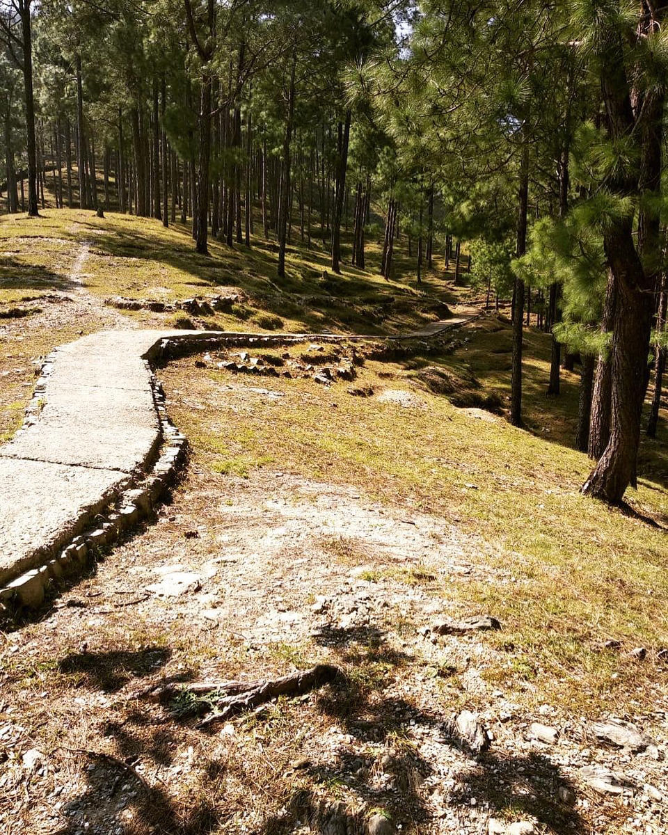 Photo of Daikund Peak to Jot pass Trek(Highest Peak In Dalhousie) by Kanishk Daima