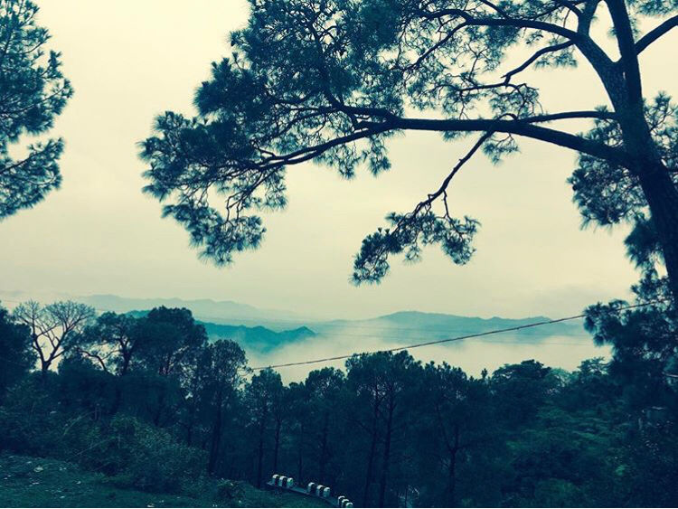 Photo of Daikund Peak to Jot pass Trek(Highest Peak In Dalhousie) by Kanishk Daima