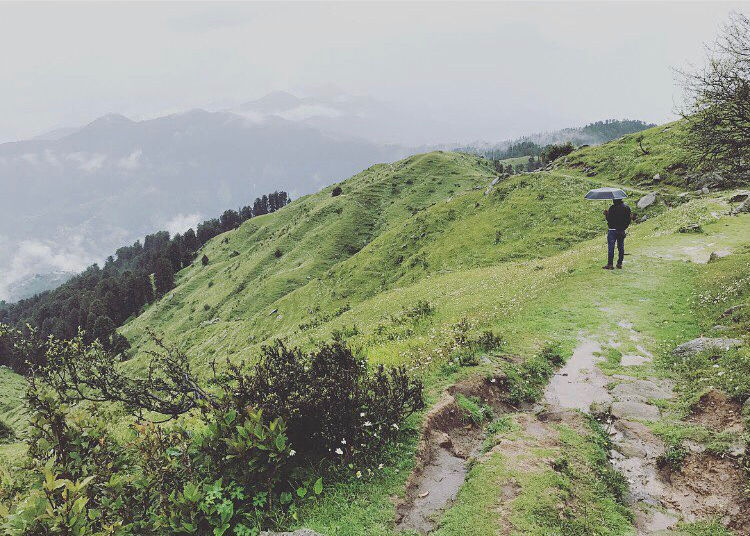 Photo of Daikund Peak to Jot pass Trek(Highest Peak In Dalhousie) by Kanishk Daima