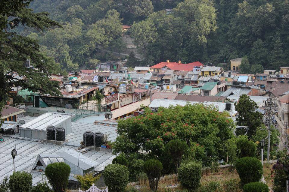 Photo of High Altitude Zoo( NAINITAL) by Kanishk Daima