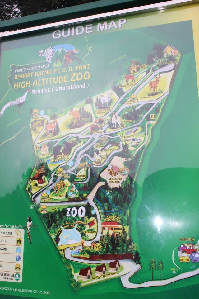 Photo of High Altitude Zoo( NAINITAL) by Kanishk Daima