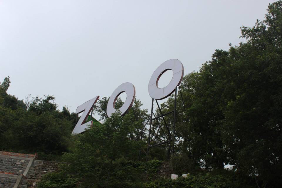 Photo of High Altitude Zoo( NAINITAL) by Kanishk Daima