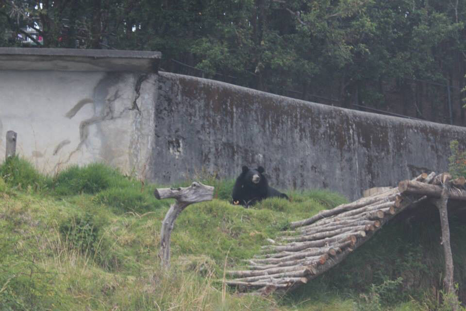 Photo of High Altitude Zoo( NAINITAL) by Kanishk Daima