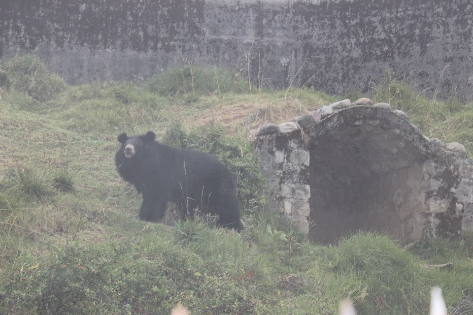 Photo of High Altitude Zoo( NAINITAL) by Kanishk Daima