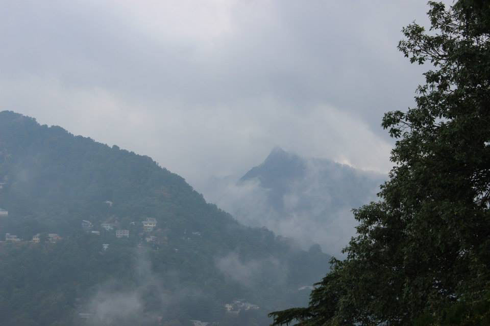 Photo of High Altitude Zoo( NAINITAL) by Kanishk Daima