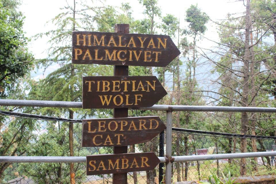 Photo of High Altitude Zoo( NAINITAL) by Kanishk Daima
