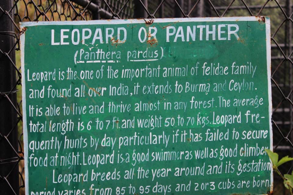 Photo of High Altitude Zoo( NAINITAL) by Kanishk Daima