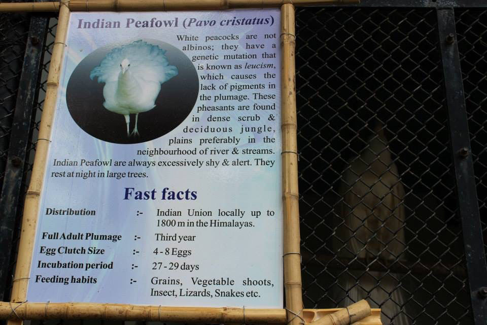Photo of High Altitude Zoo( NAINITAL) by Kanishk Daima
