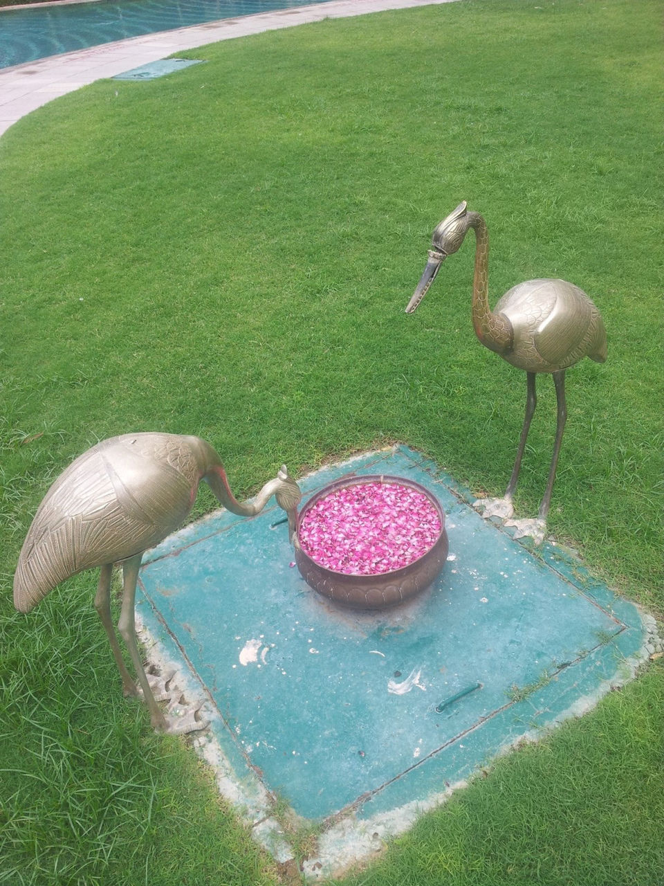 Photo of The Villa Of Le Meridian-Jaipur by Kanishk Daima