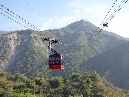 Photo of Timber Trail In Parwanoo-5 Hour Drive From Delhi!(Himachal) by Kanishk Daima