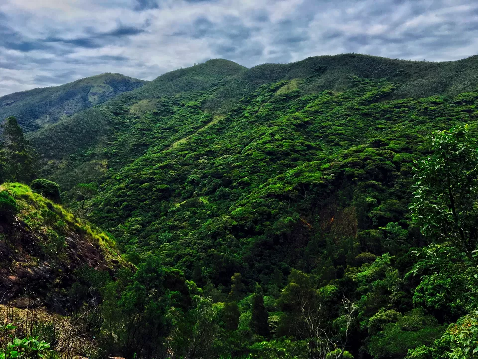 Photo of Upper Bhavani Lake View Point, Tamil Nadu, India by Debalina Gupta