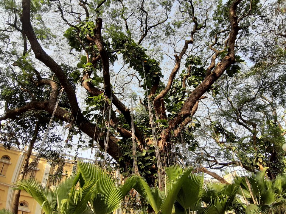 Photo of A day in Mysore #IncredibleIndia by Bhairavi Shrikhande