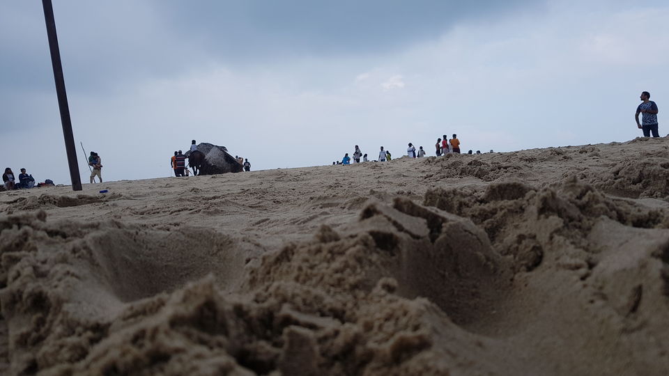 Photo of Paradise Beach, Pudukuppam, Puducherry, India by The Foodie Rider