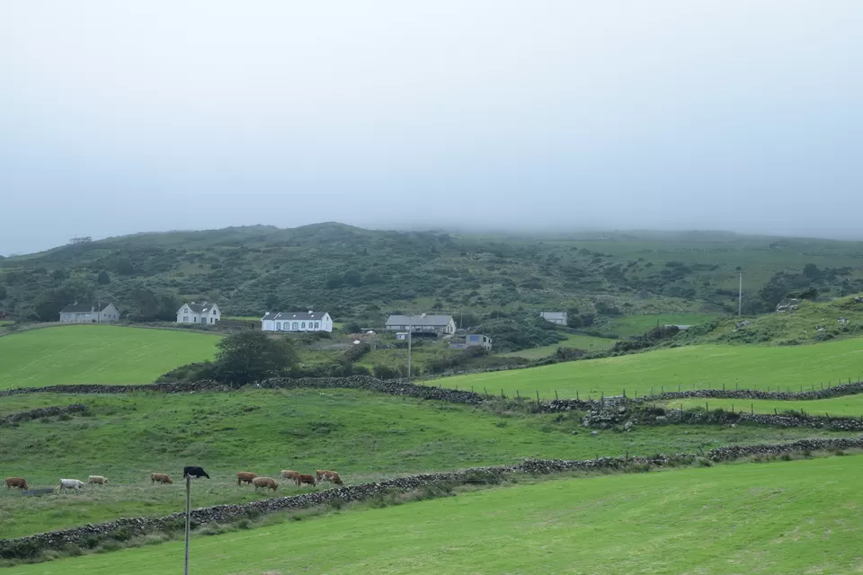 Photo of Torr Head, Ballycastle, UK by The Foodie Rider