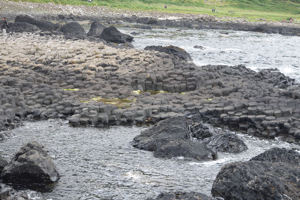 Photo of Giant's Causeway, Causeway Road, Bushmills, UK by The Foodie Rider