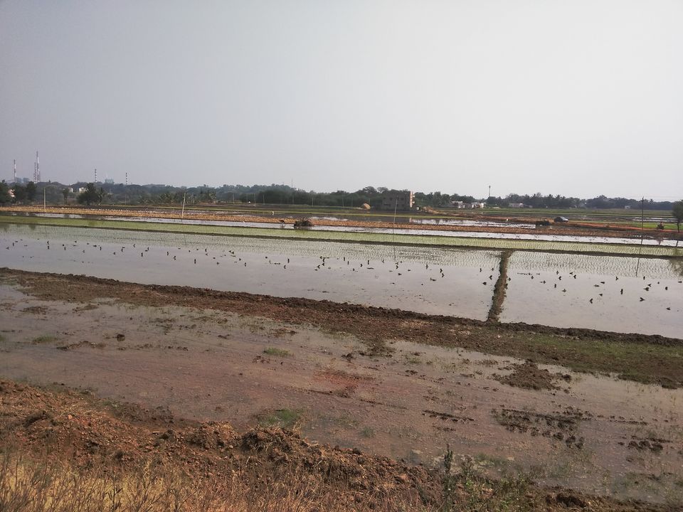 Photo of Bangalore to Goa Road Trip Day 1 by Ankit