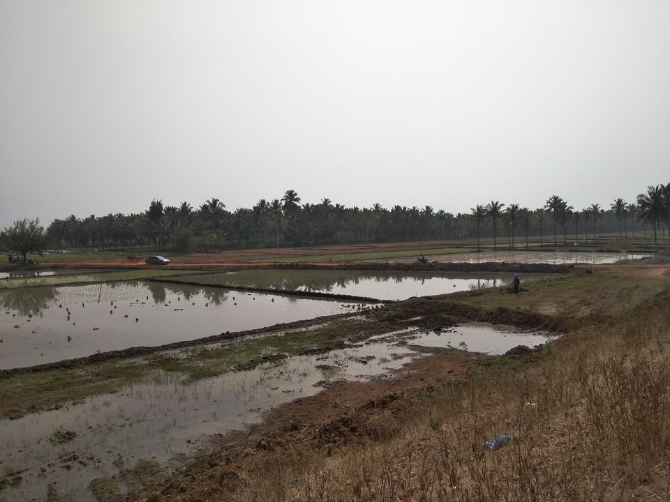 Photo of Bangalore to Goa Road Trip Day 1 by Ankit