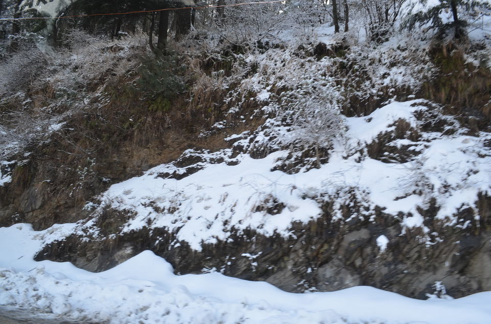 Photo of Himachal with a backpack 2/4 by Yunus