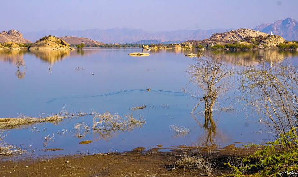 Photo of LEOPARD SPOTTING IN JAWAI, RAJASTHAN by Pathin