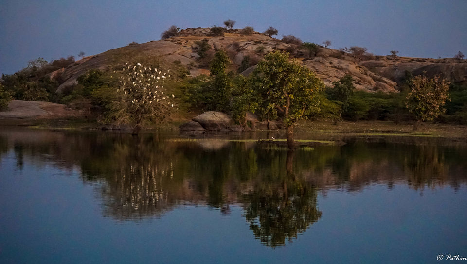 Photo of LEOPARD SPOTTING IN JAWAI, RAJASTHAN by Pathin