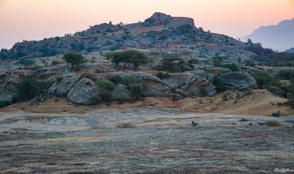 Photo of LEOPARD SPOTTING IN JAWAI, RAJASTHAN by Pathin