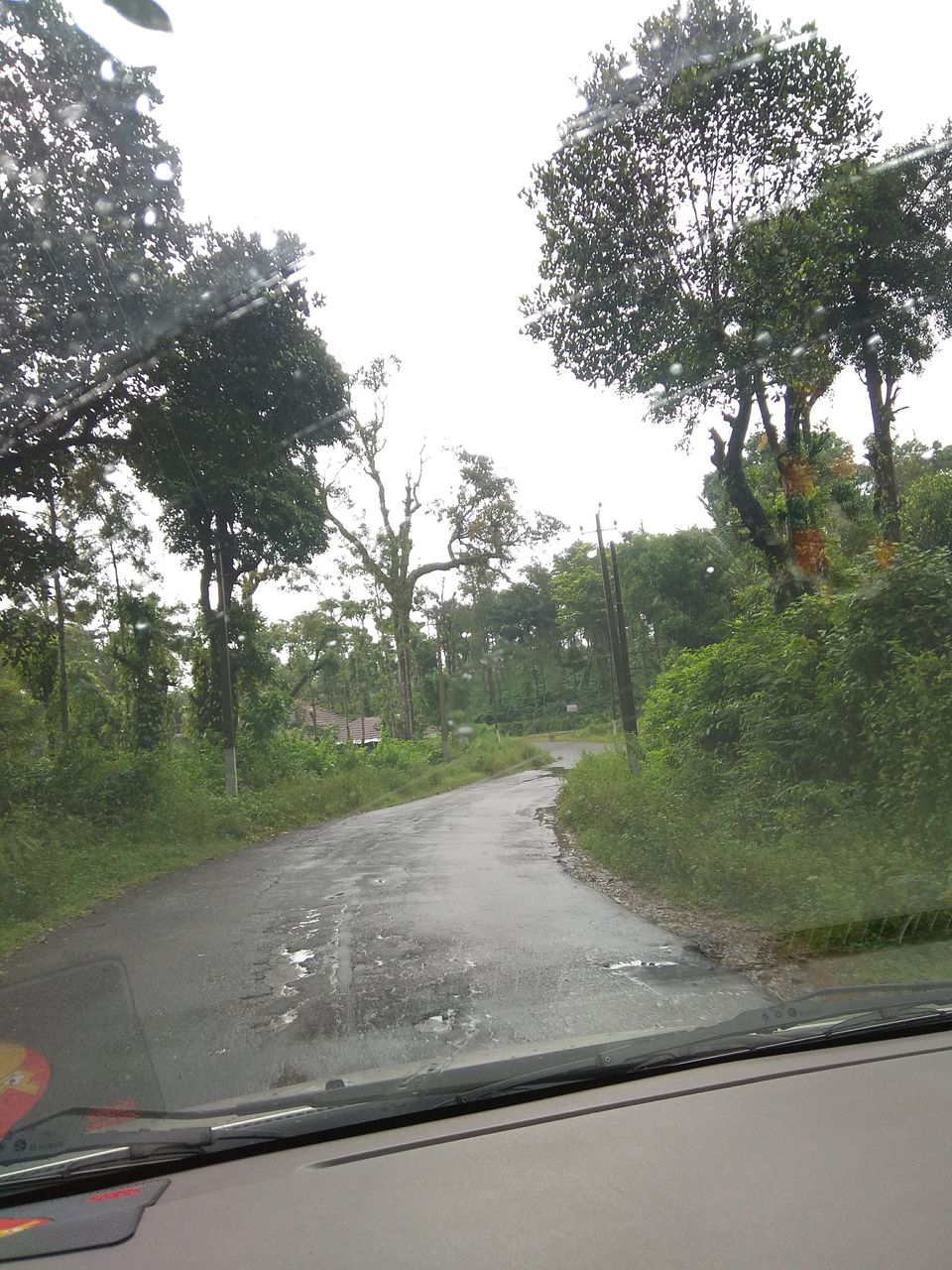Photo of Road Trip to Scotland Of India : Coorg by Bharti Gupta