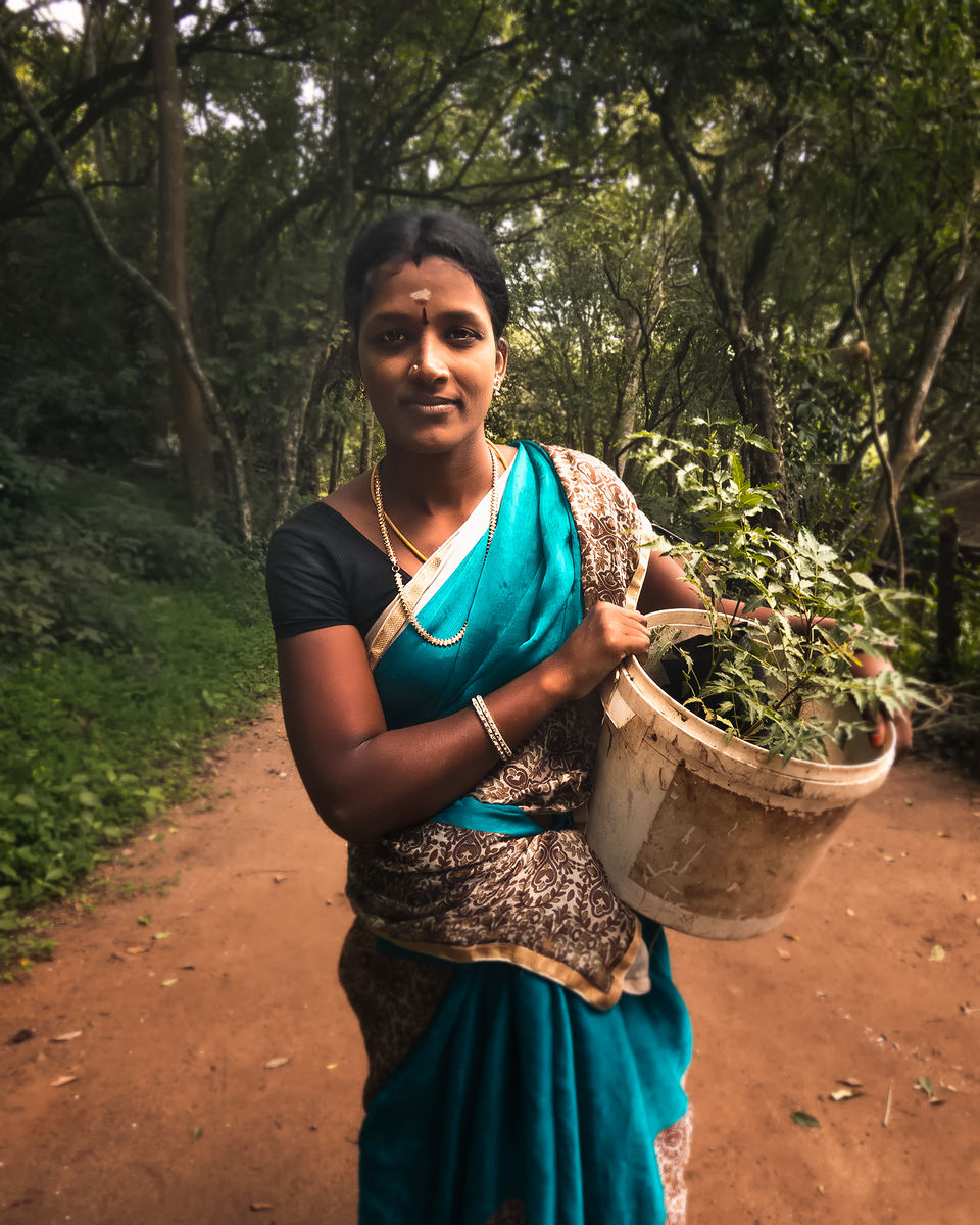 Photo of Off-beat experiences to explore in Kodaikanal, Tamil Nadu by riddhidebh