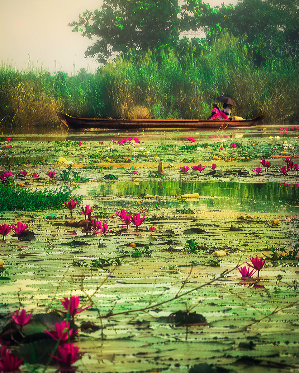 Photo of Vembanad Lake, Kerala by riddhidebh