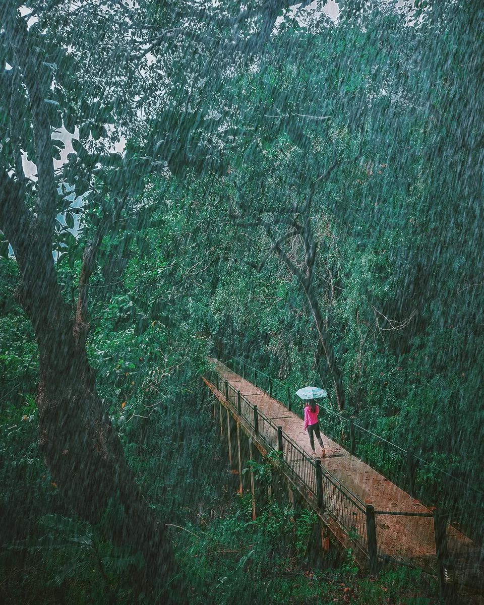 Photo of Sharavathi Adventure Camp Jungle Lodges, Bengaluru, Karnataka, India by riddhidebh
