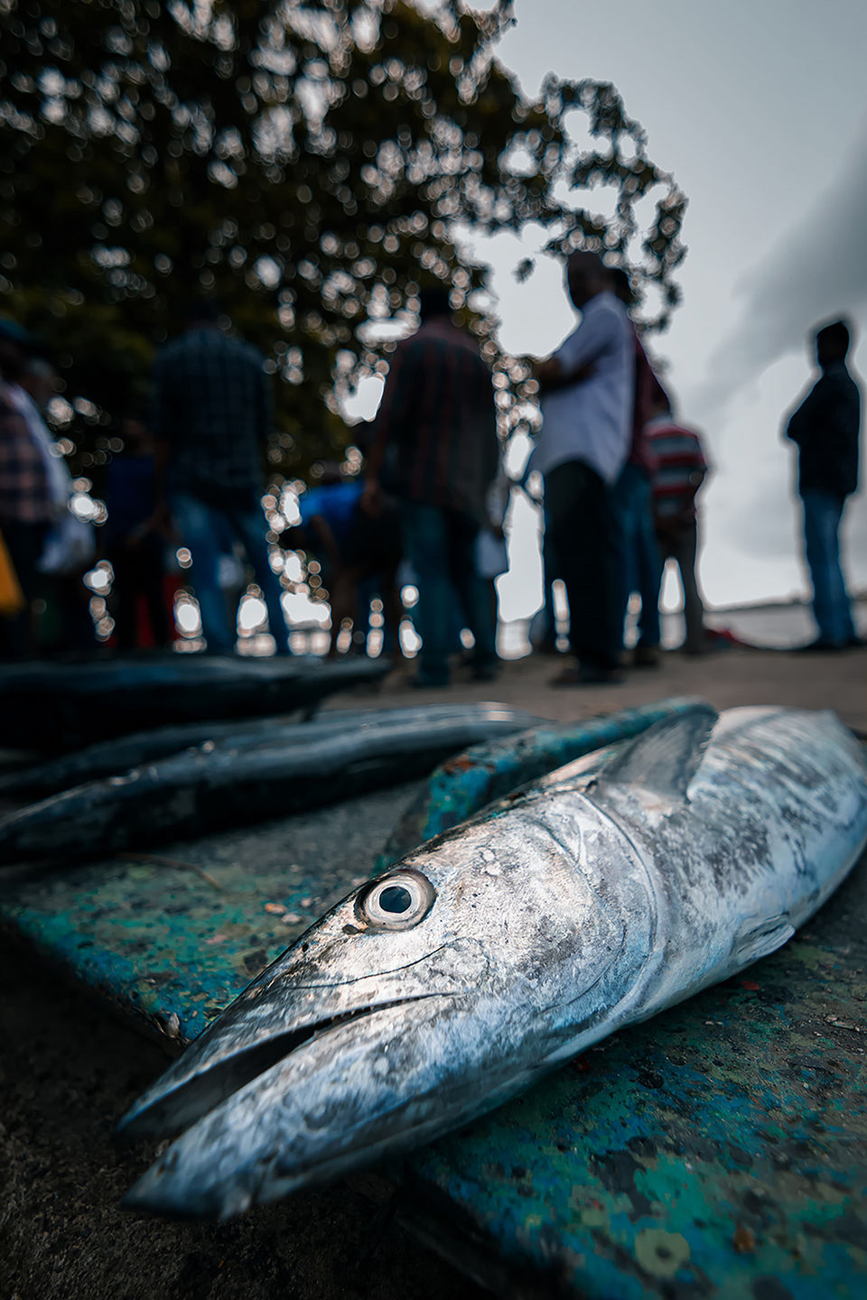 Photo of Fort Kochi in a Day – Here's How You Should Explore Kerala's Cutest Corner in 24 Hours! 9/9 by riddhidebh