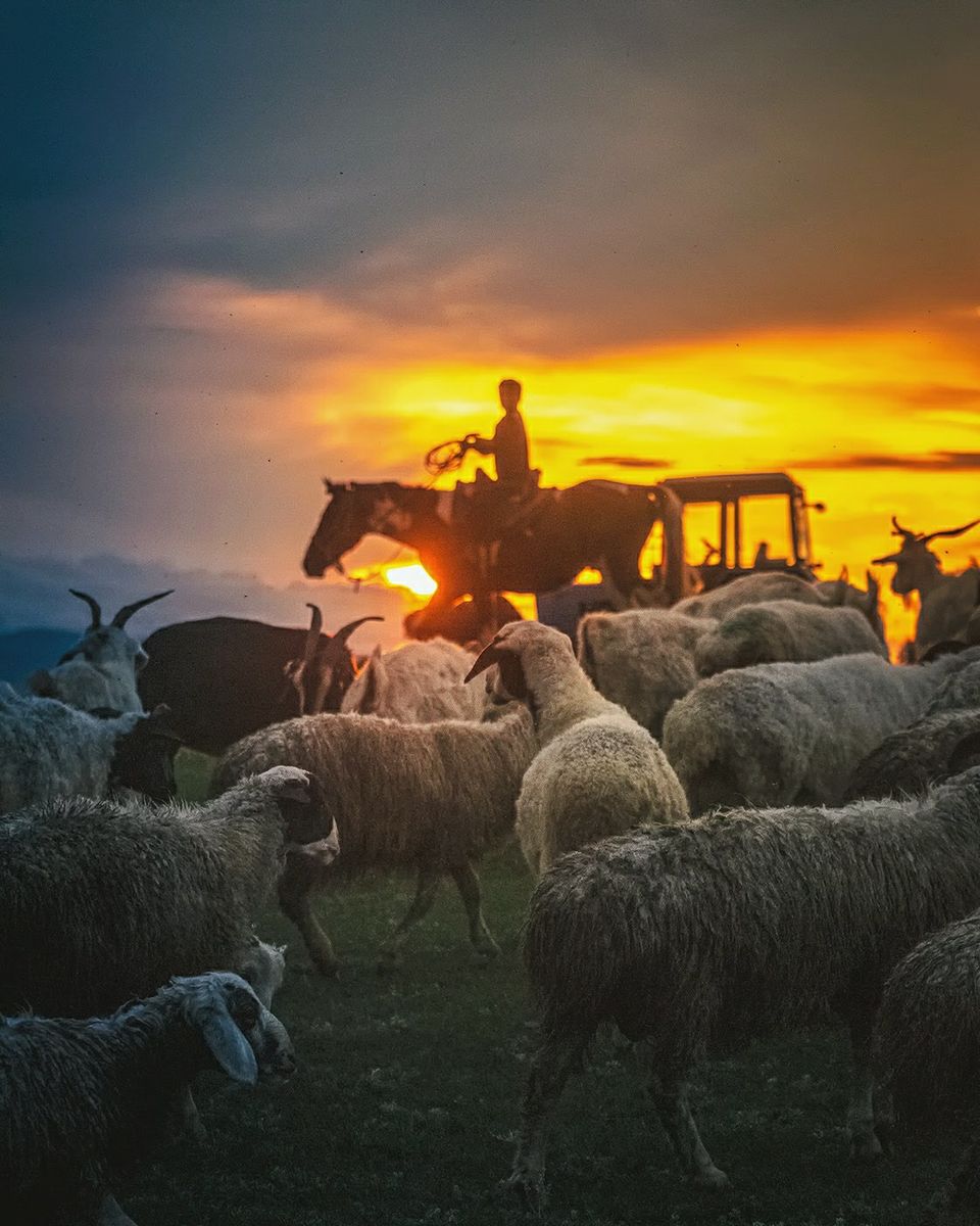 Photo of 15 Best Sunsets That I Have Witnessed Across the World. Are You Chasing Sunsets Too? 3/15 by riddhidebh