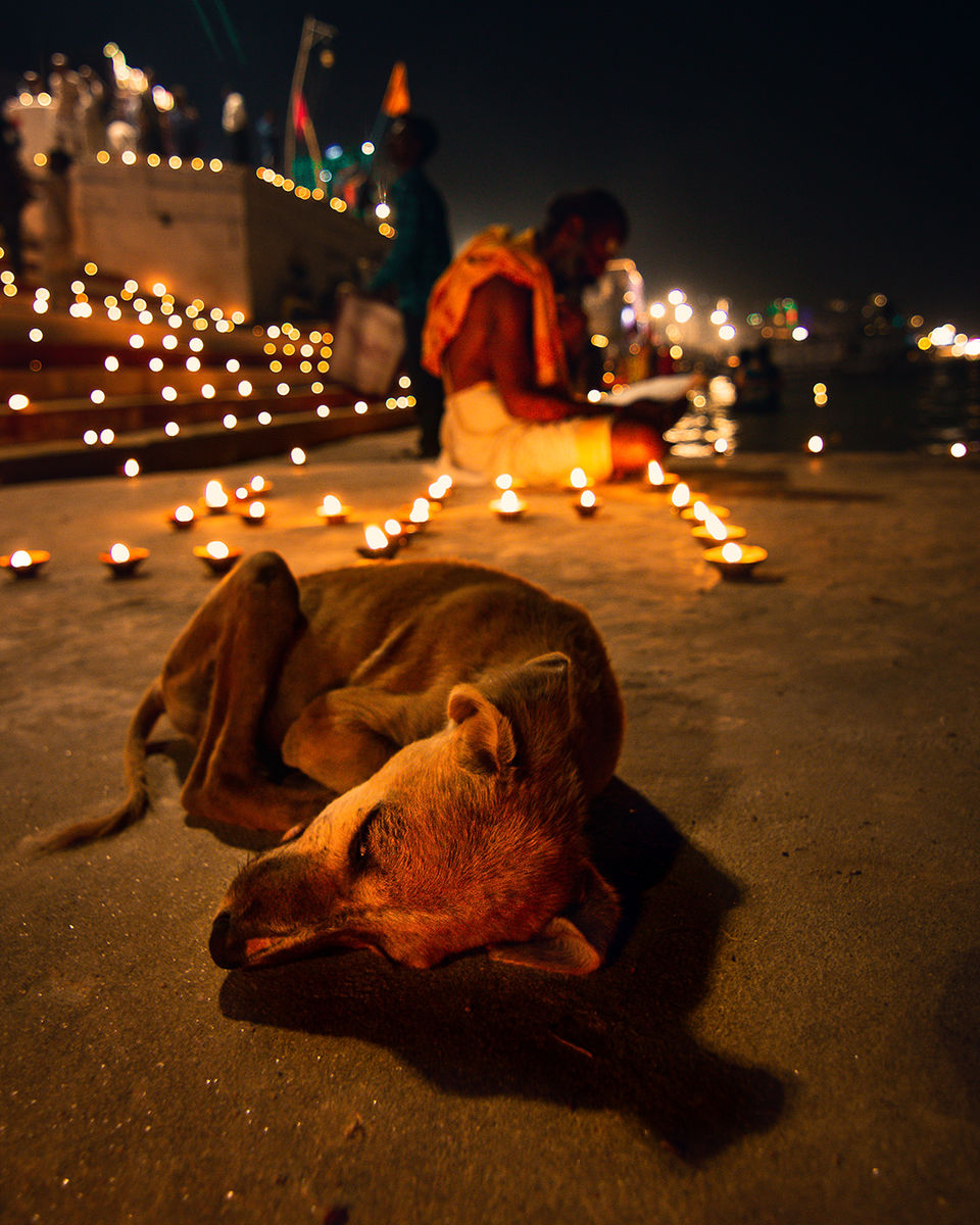 Photo of Witness the Festival of Illumination - Dev Deepavali through these Curated Images from Varanasi by riddhidebh