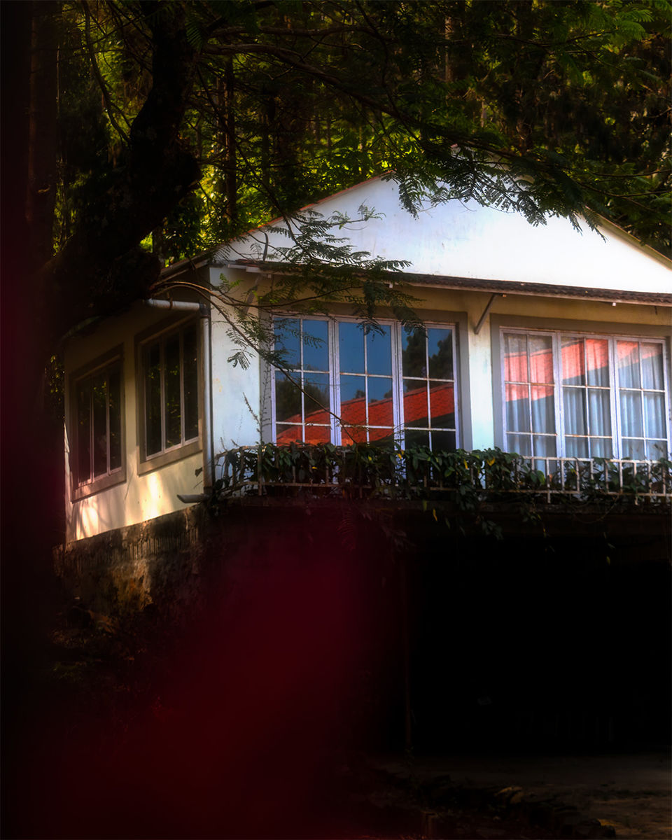 Photo of If a Quiet Weekend Getaway is on Your Mind, Head to the Nilgiri Mountains RIGHT NOW! by riddhidebh