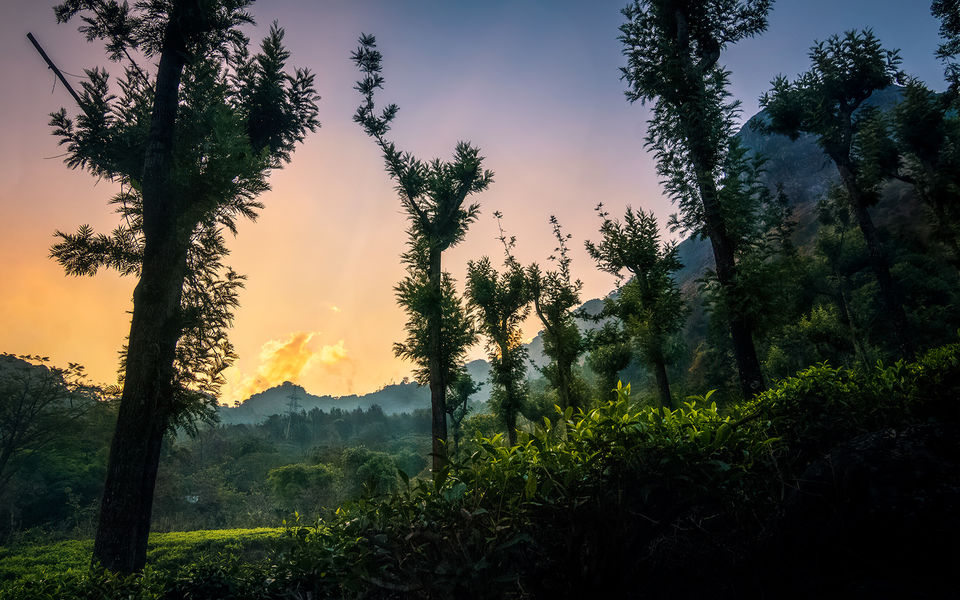 Photo of If a Quiet Weekend Getaway is on Your Mind, Head to the Nilgiri Mountains RIGHT NOW! by riddhidebh
