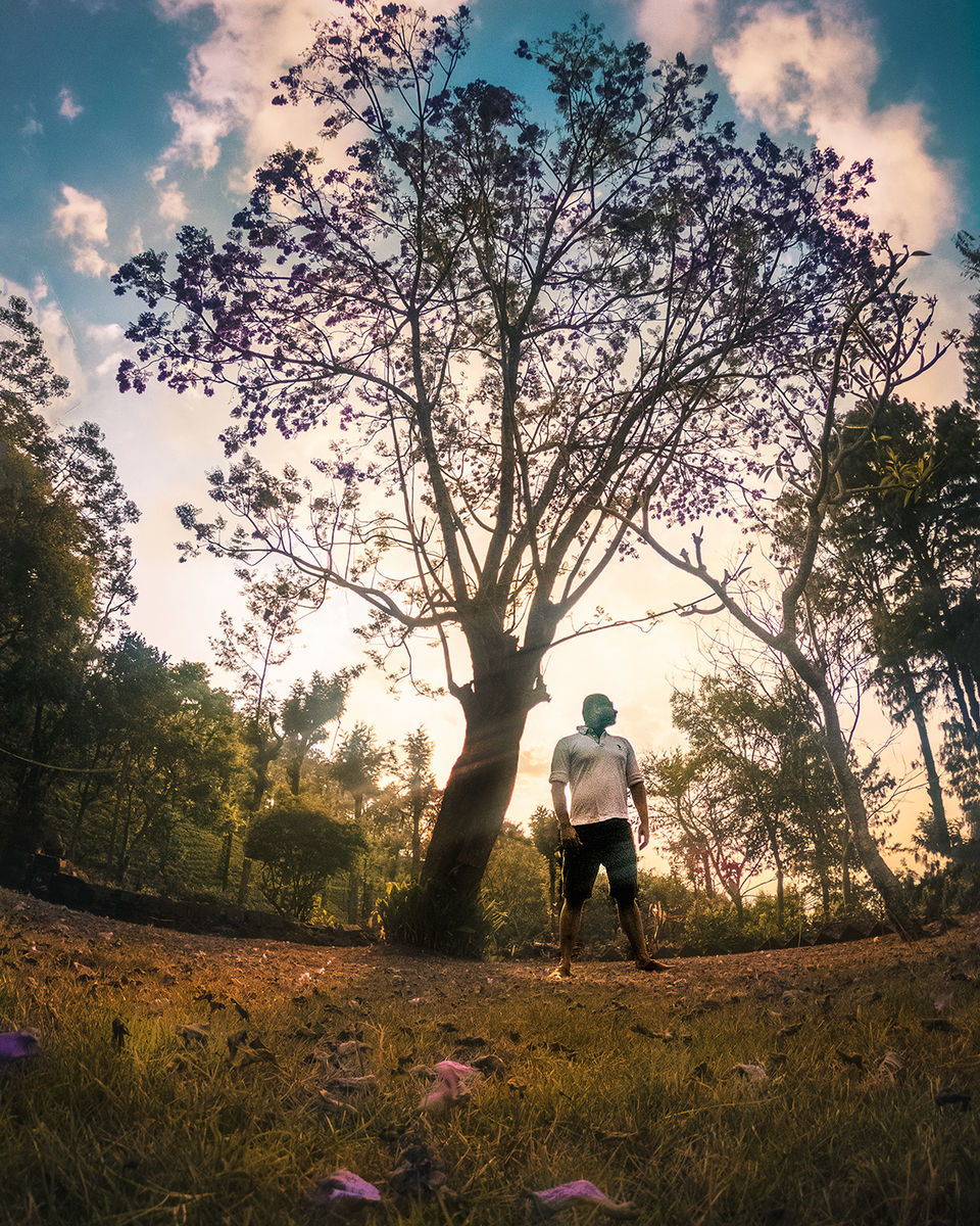 Photo of If a Quiet Weekend Getaway is on Your Mind, Head to the Nilgiri Mountains RIGHT NOW! by riddhidebh