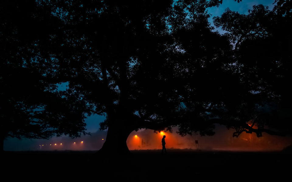 Photo of These are The Most Instagramable Places in Kolkata During The Winter Months by riddhidebh
