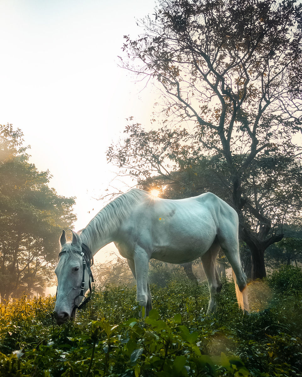 Photo of These are The Most Instagramable Places in Kolkata During The Winter Months by riddhidebh