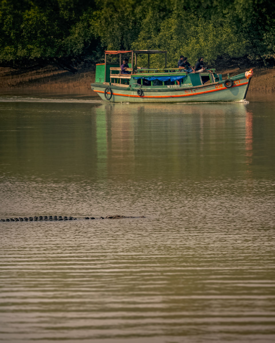 Photo of This National Park in Odisha Will Blow You Away With A Thrilling Boat Ride & Spotting 40+ Crocodiles 2/4 by riddhidebh