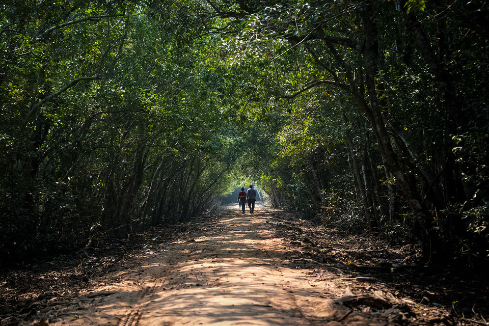 Photo of This National Park in Odisha Will Blow You Away With A Thrilling Boat Ride & Spotting 40+ Crocodiles 3/4 by riddhidebh