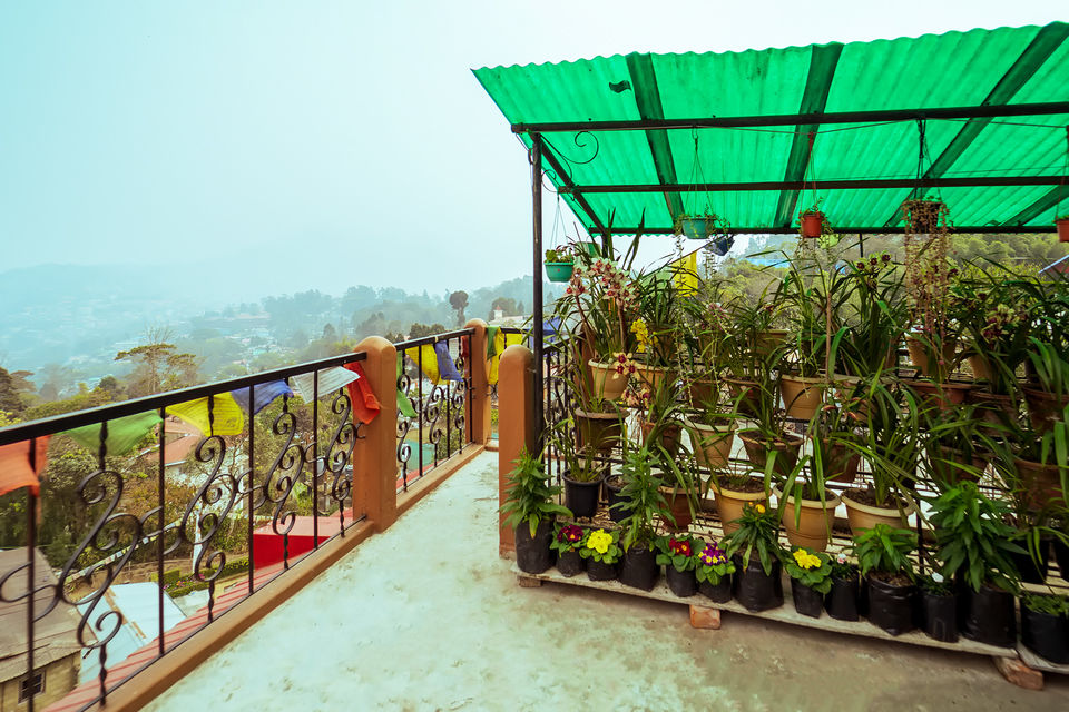 Photo of Kalimpong - This Hill-Town in North Bengal is A Perfect Summer Destination Within Your Budget 4/6 by riddhidebh