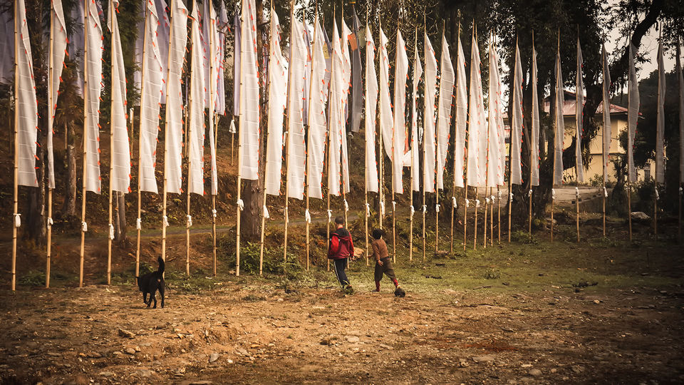 Photo of While Everybody Travelled to Shimla and Manali, I Found Peace in a Quaint Haven Called Ravangla by riddhidebh