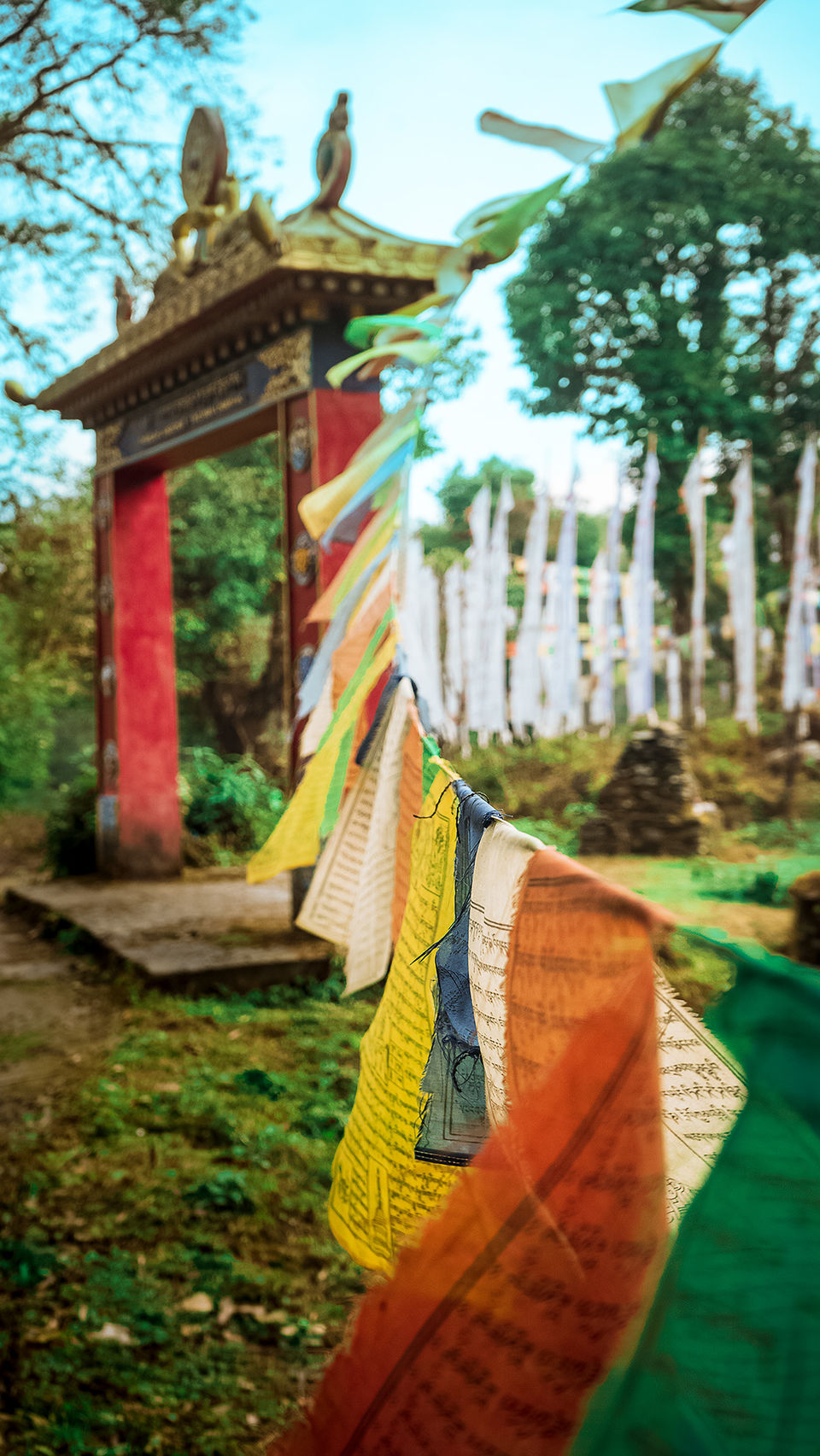 Photo of While Everybody Travelled to Shimla and Manali, I Found Peace in a Quaint Haven Called Ravangla by riddhidebh