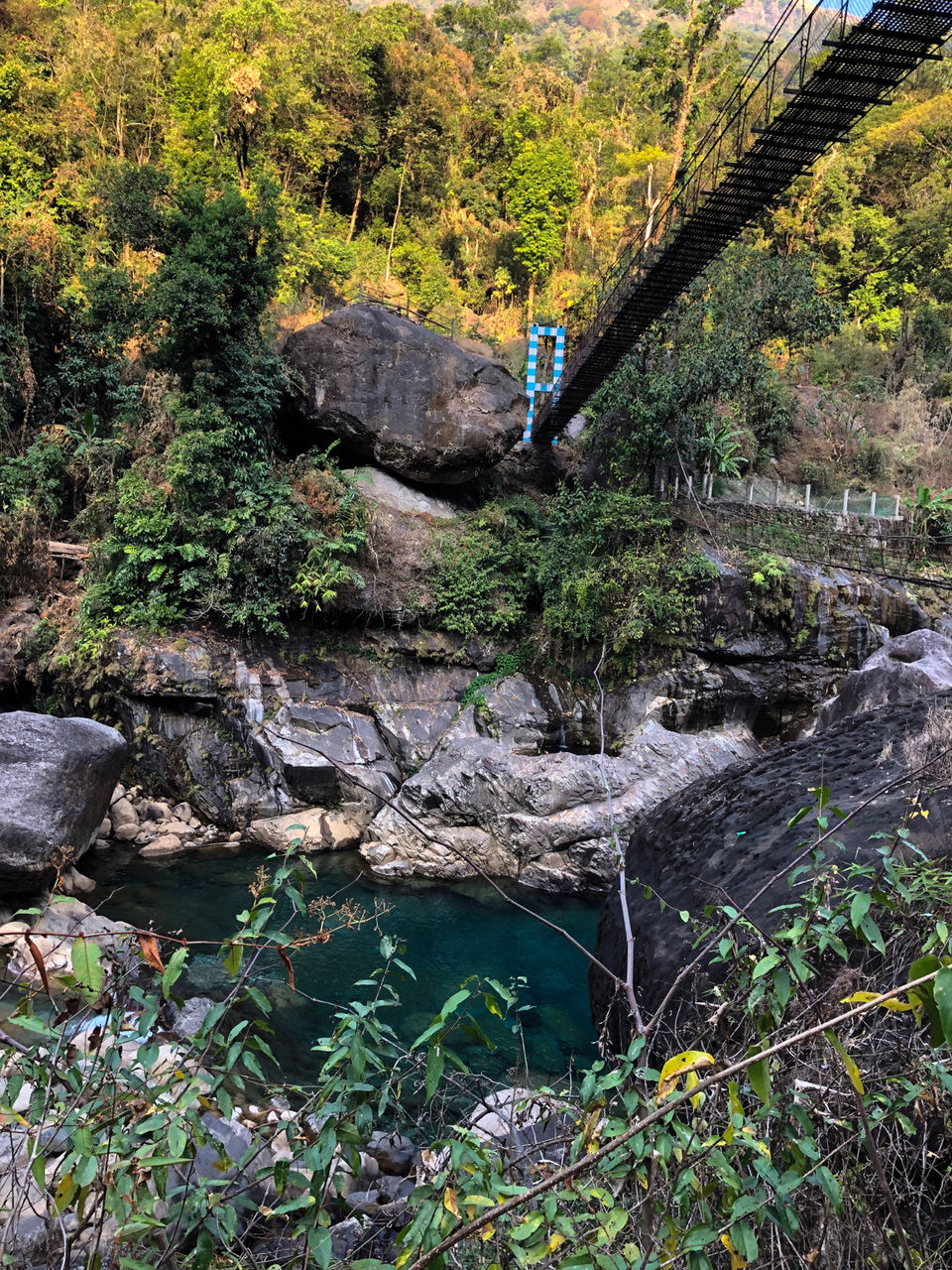Photo of Jingkieng Nongriat Double Decker Living Root Bridge, Meghalaya, India by Sheetal Tekam