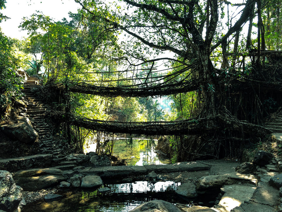 Photo of Awesome Shillong by Intangible Traveler