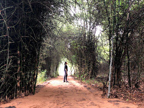 Photo of The Story of How I and My Friends Became the Unofficial Crusaders of the Stunning Satkosia! by Anandita Pattnaik