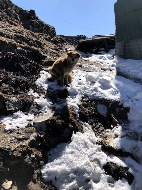 Photo of Trotting into The Tantalizing Territory of Tawang by Anandita Pattnaik
