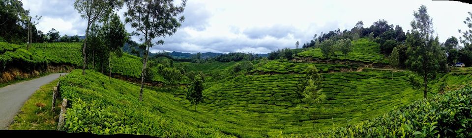 Photo of Best of 'Kaptivating Kerala' - Let's Visit Kerala Again!! by Anandita Pattnaik