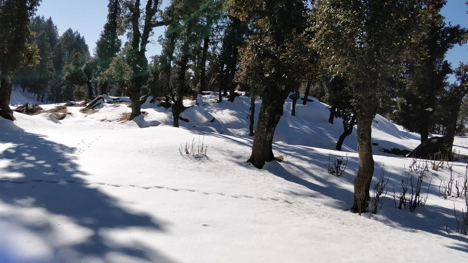 Photo of Churdhar_Amateur_Snow Trek ☃Outer Himalayas 9/18 by Gautam