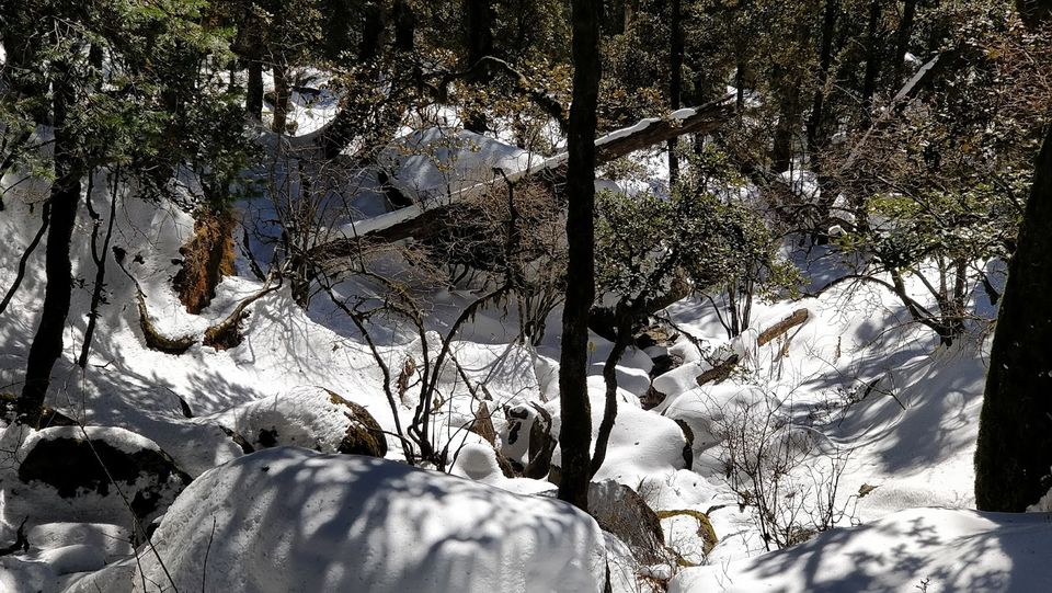 Photo of Churdhar_Amateur_Snow Trek ☃Outer Himalayas 10/18 by Gautam