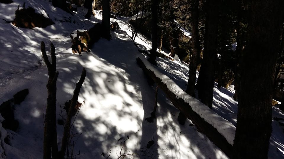 Photo of Churdhar_Amateur_Snow Trek ☃Outer Himalayas 11/18 by Gautam